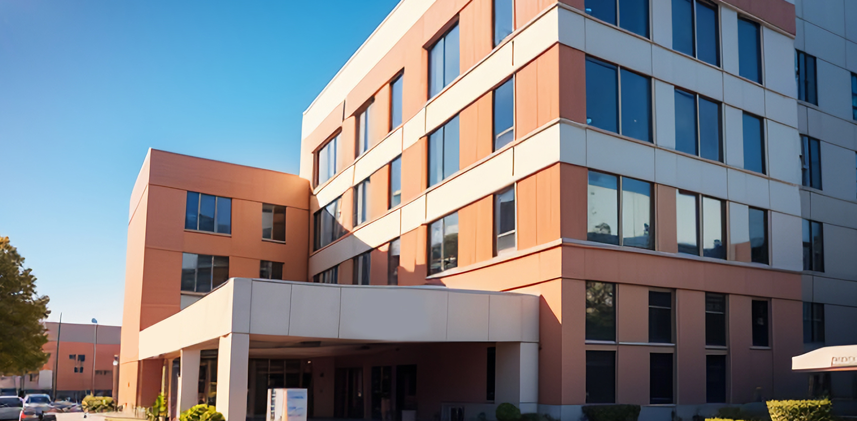 Социальные объекты